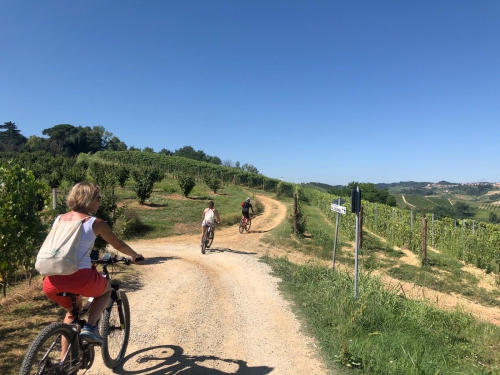 E-bike tour – Cycling between Monferrato and Roero in San Damiano d'Asti